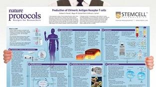 0977-03-02_Production_of_CAR-T_Cells.jpg