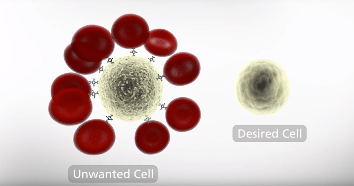 ヒト全血からワンステップで細胞分離　「RosetteSep」
