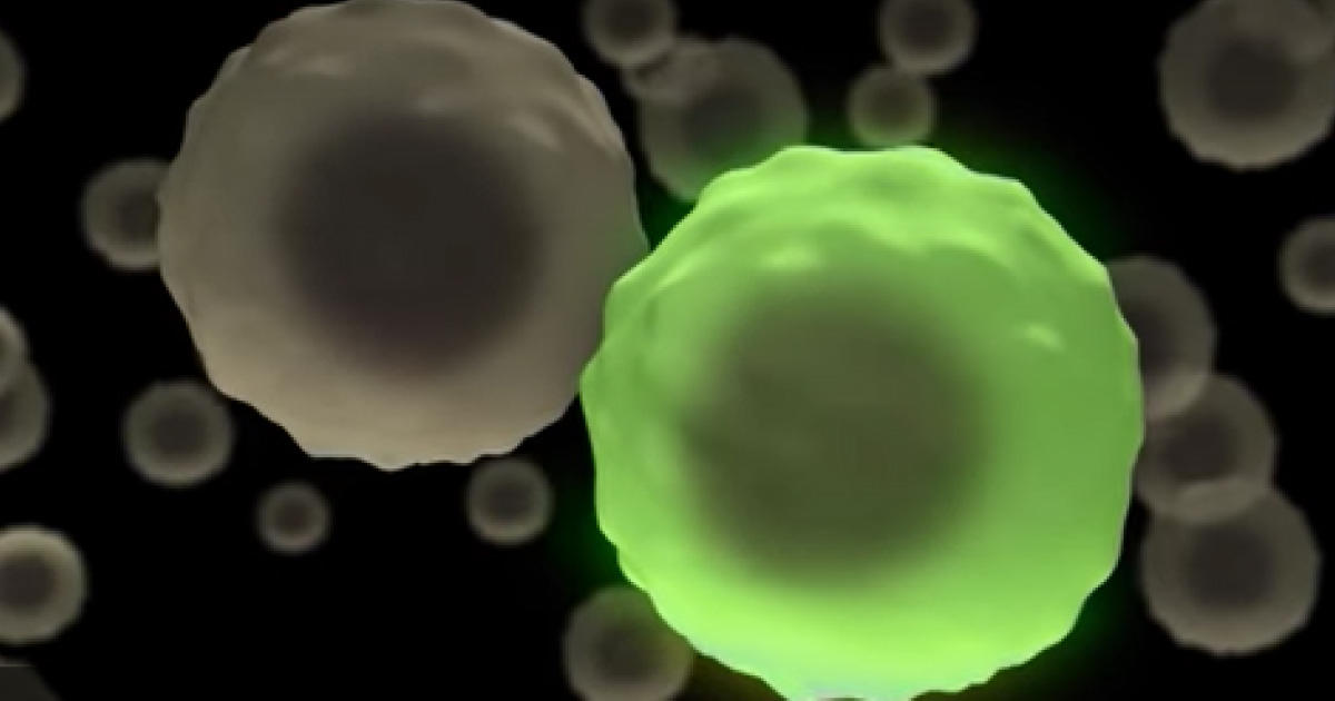  「ALDEFLUOR」　正常およびがん幹細胞/前駆細胞の同定、評価、分離 